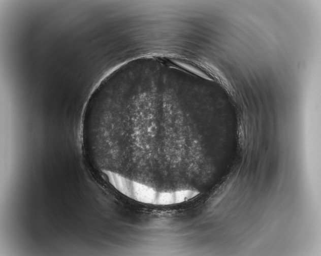 X0000096650484200802261324