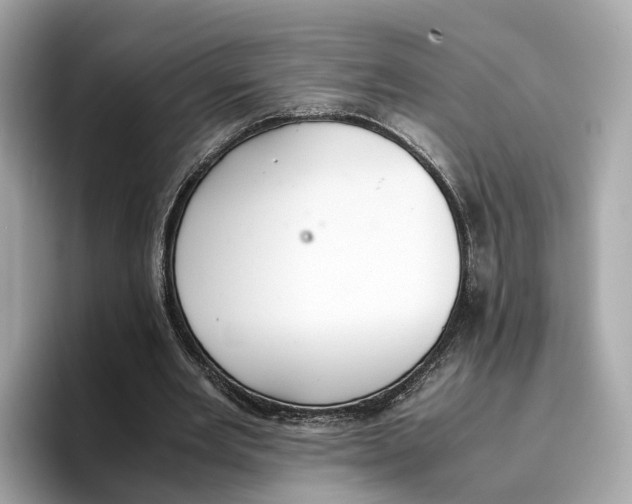 X0000096650485200802261324