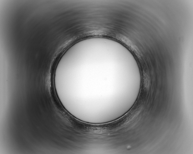 X0000096650486200802261324