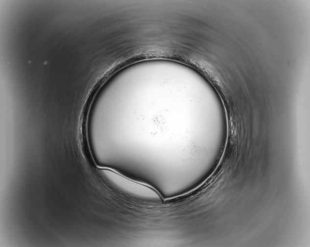 X0000096650487200802261324