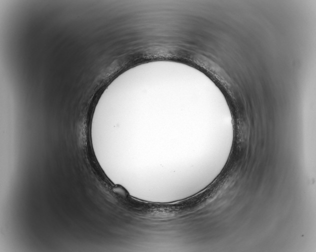 X0000096650489200802261324