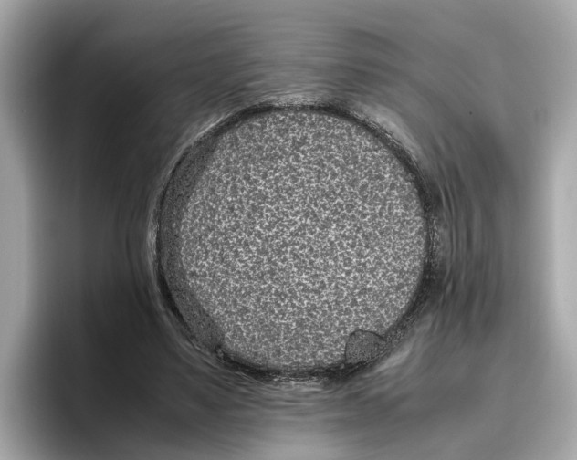 X0000096650491200802261324