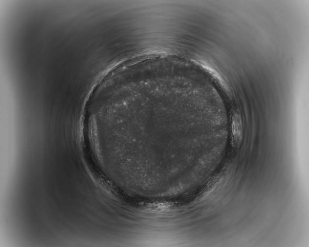 X0000096650492200802261324