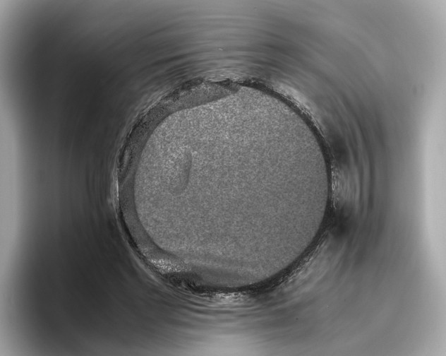 X0000096650493200802261324