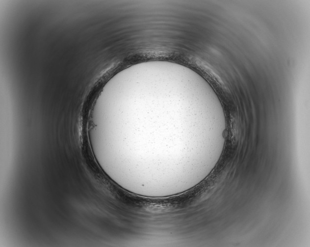 X0000096650494200802261324