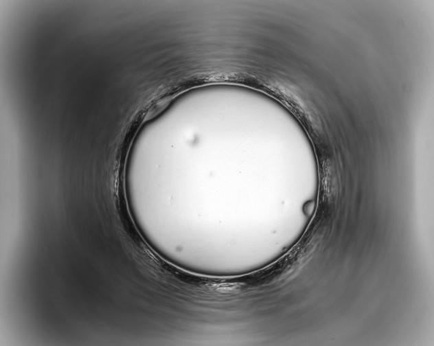 X0000096650495200802261324