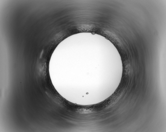 X0000096650498200802261324