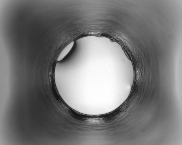 X0000096650499200802261324