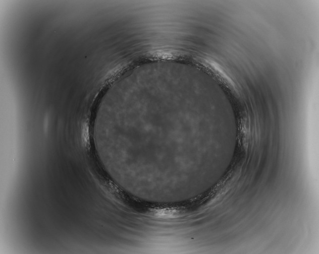 X0000096650500200802261324