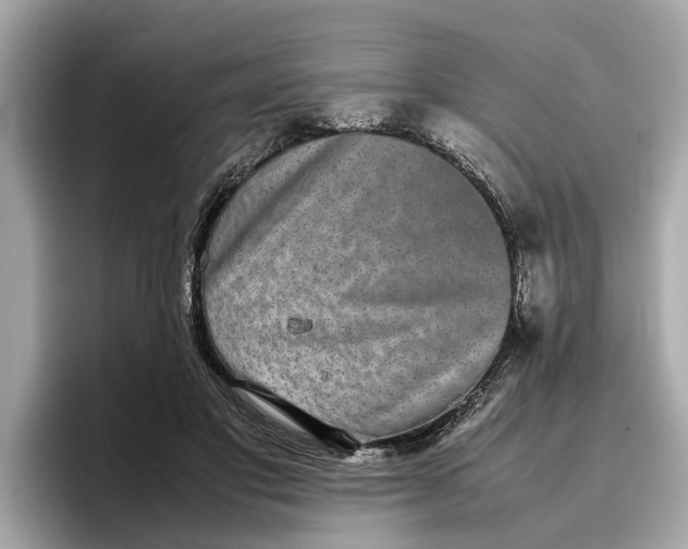 X0000096650501200802261324