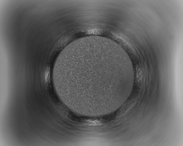 X0000096650502200802261324