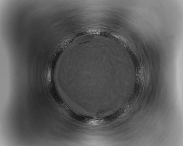 X0000096650504200802261324