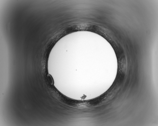 X0000096650505200802261323