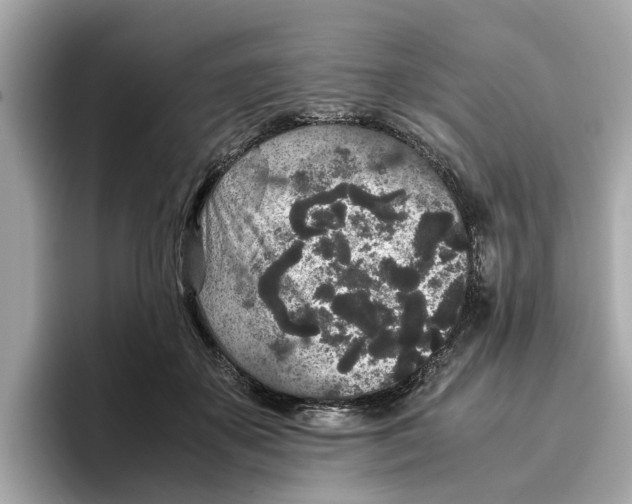 X0000096650507200802261323