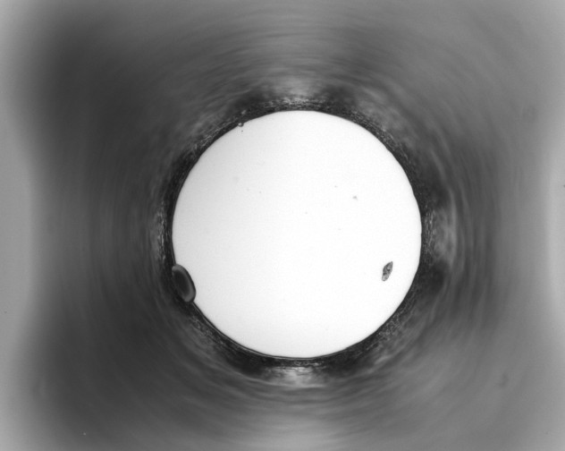 X0000096650509200802261323