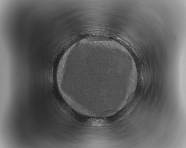 X0000096650512200802261323