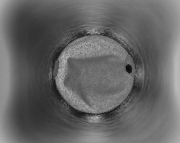 X0000096650513200802261323