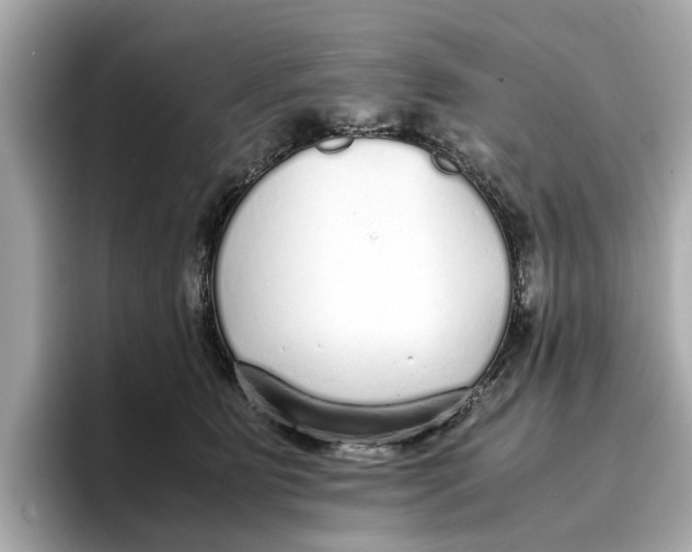 X0000096650515200802261323