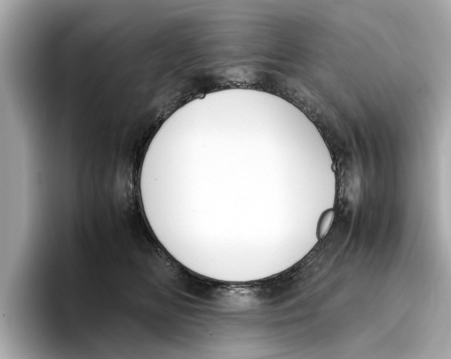 X0000096650518200802261323