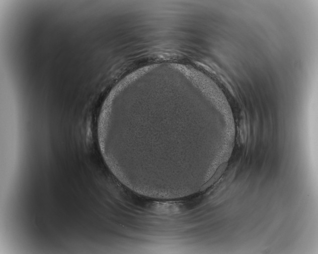 X0000096650520200802261323