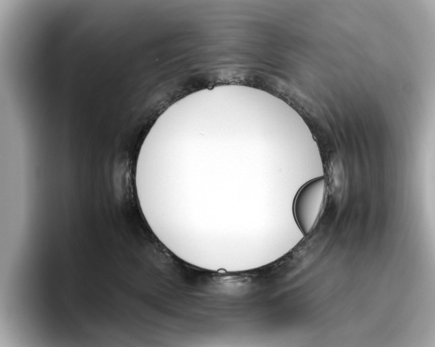 X0000096650522200802261323