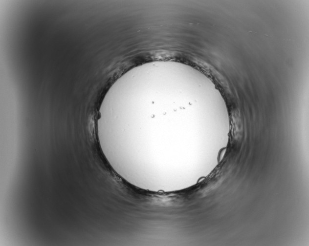 X0000096650523200802261323