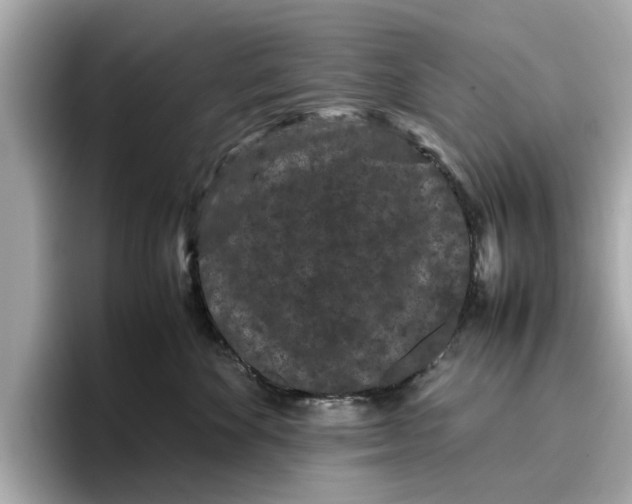 X0000096650524200802261323