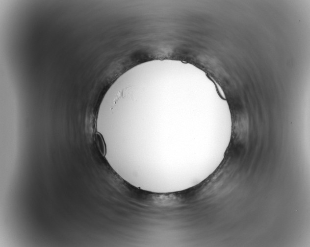 X0000096650525200802261323