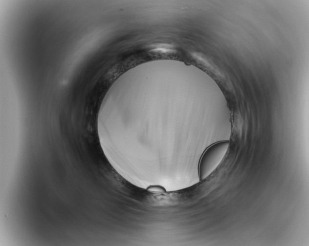 X0000096650526200802261323