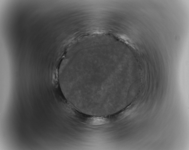 X0000096650528200802261323