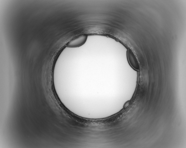 X0000096650529200802261322