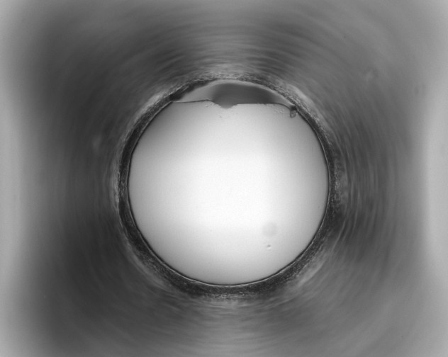 X0000096650530200802261322