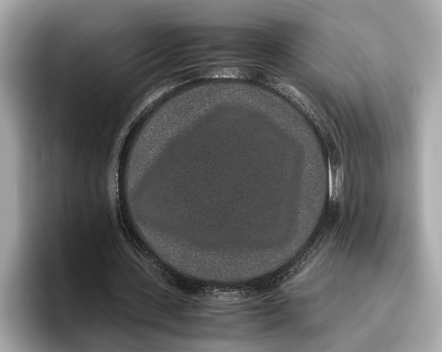 X0000096650531200802261322