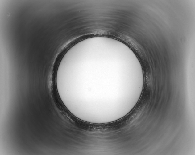 X0000096650532200802261323