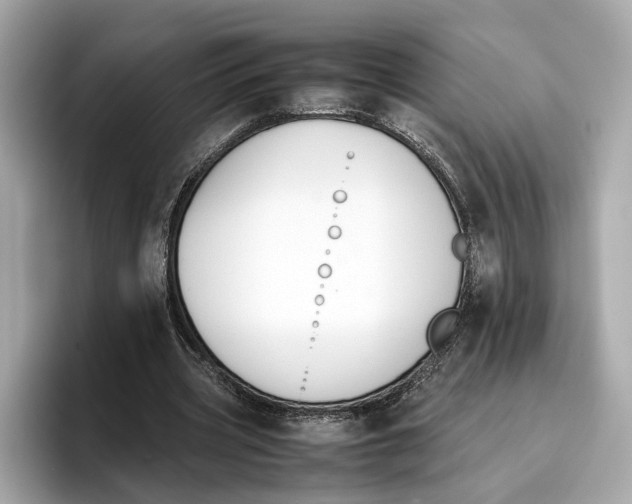 X0000096650533200802261323