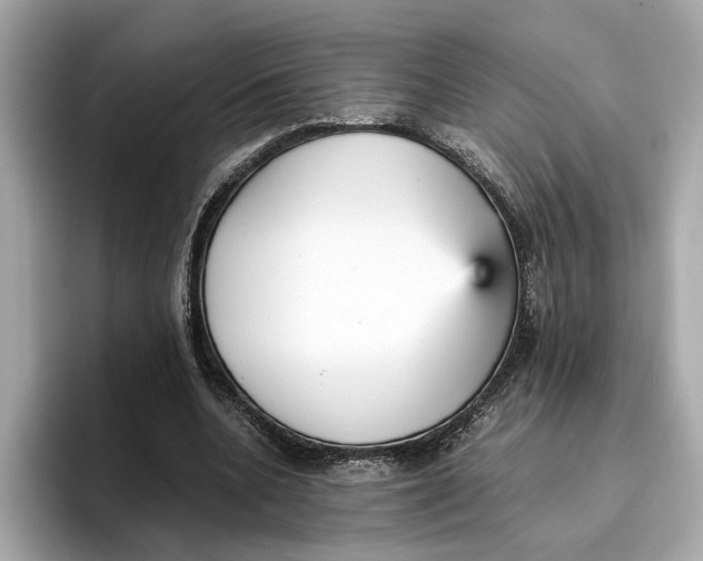 X0000096650536200802261323