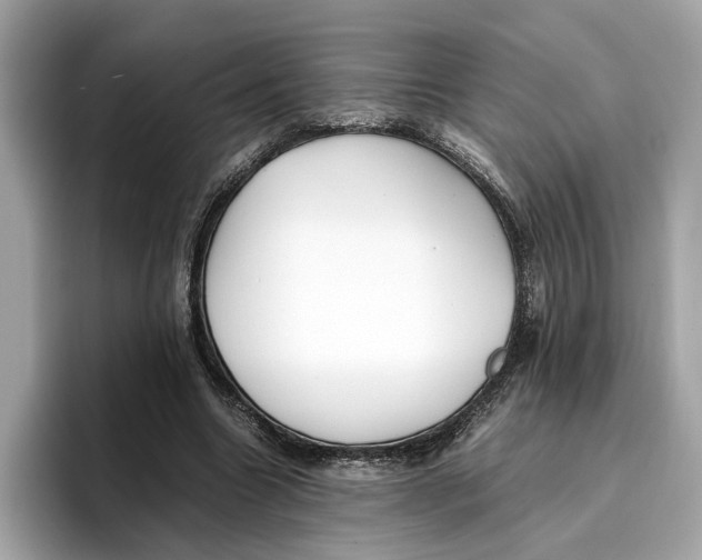 X0000096650538200802261323