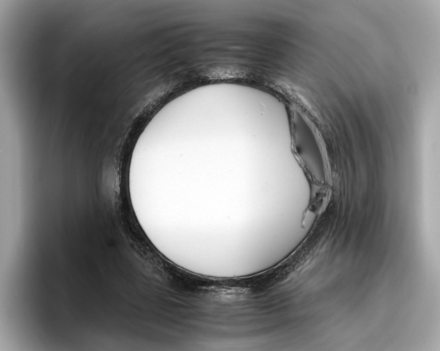 X0000096650539200802261323