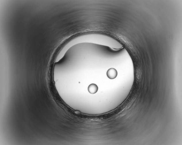 X0000096650540200802261323