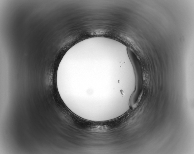 X0000096650543200802261323