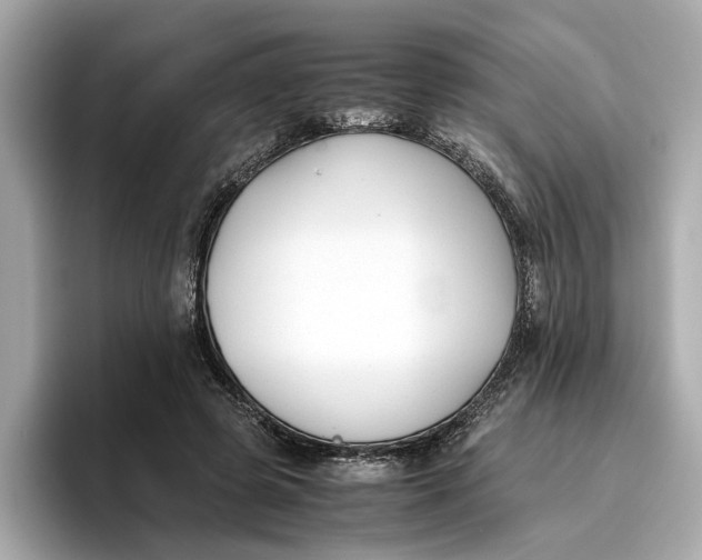 X0000096650545200802261323