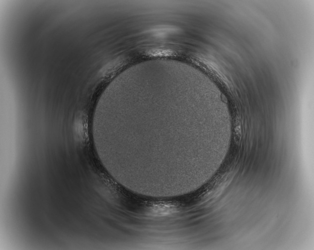 X0000096650547200802261323