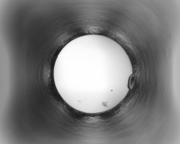 X0000096650548200802261323