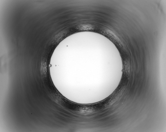 X0000096650549200802261323