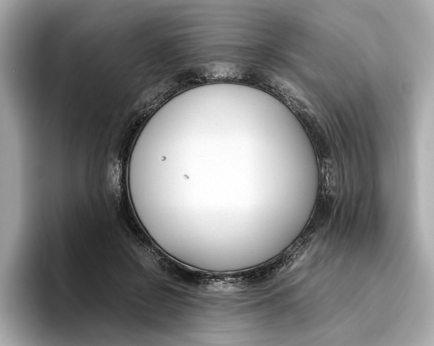 X0000096650550200802261323