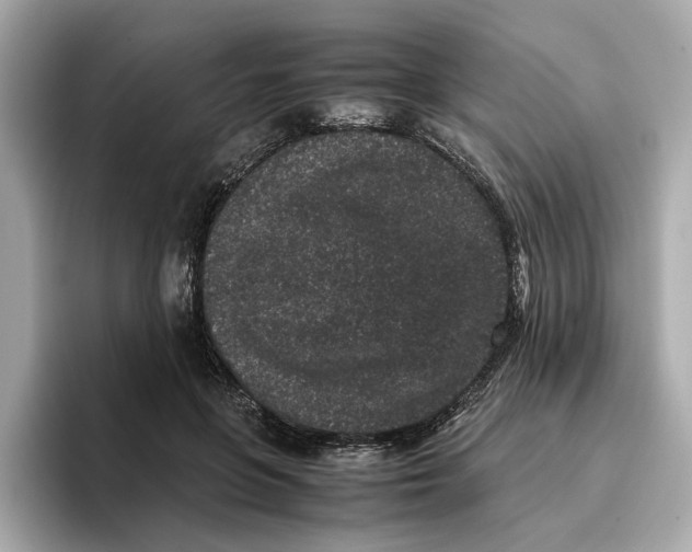 X0000096650551200802261323