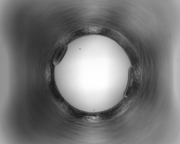 X0000096650552200802261323