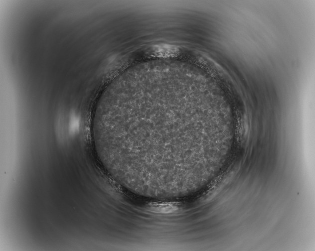 X0000096650553200802261323