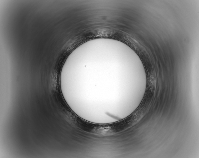 X0000096650554200802261323