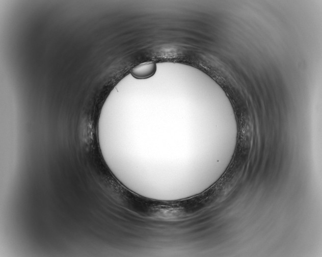 X0000096650555200802261323